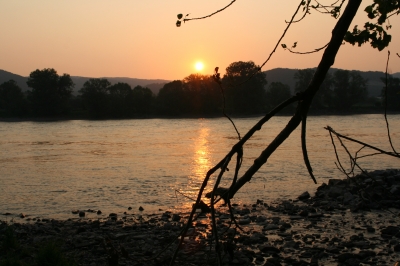 Morgensonne am Rhein 3