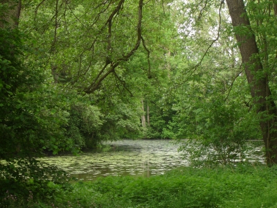 Schloßpark Gern