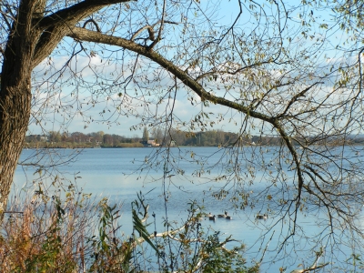 Blick auf den Dümmer-See