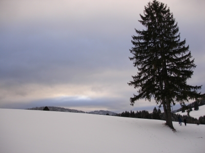 Winterlandschaft