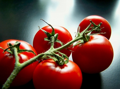 Tomaten vom Strauch