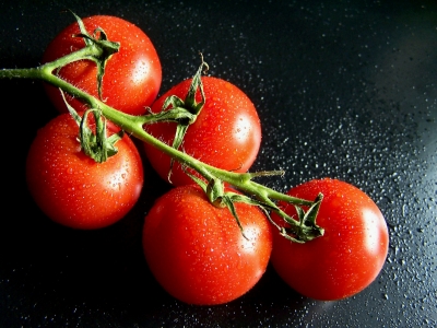 Tomaten vom Strauch_2