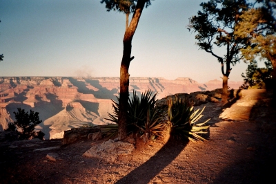 Grand Canyon Abendstimmung