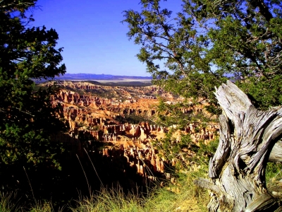 Im Bryce Canyon