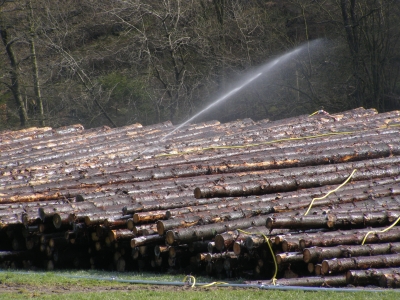 Naßlagerplatz für Holz