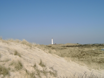 Ein Licht in den Dünen