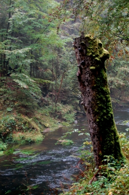 Stille Klamm 2