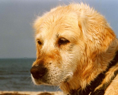 Gina auf Usedom