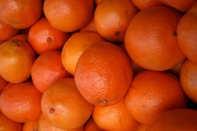 Lecker Orangen