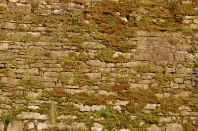 Textur:  mittelalterliche Mauer mit Moosen