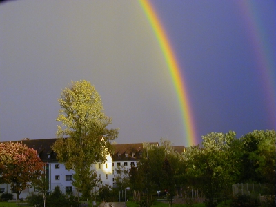 Regenbogen vor meiner Wohnung
