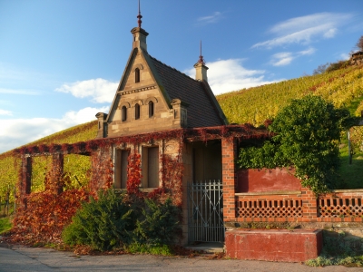 Altes Wengerter-Häuschen am Wartberg