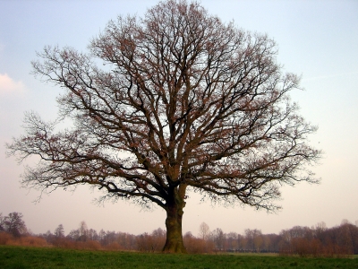 Dem Sturm getrotzt