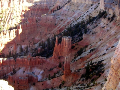 Bryce Canyon Detailaufnahme