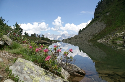 Sommer im Hochgebirge19