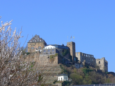 "Burg Rheinfels"