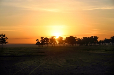 Sonnenaufgang in der Massai Mara
