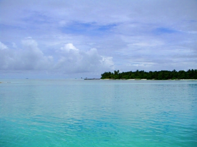 Insel mit Palmen