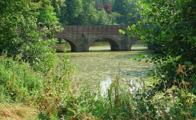 Brücke im Grün