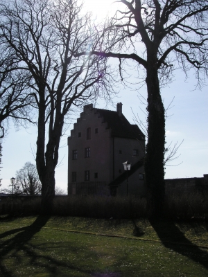 Haus im Gegenlicht