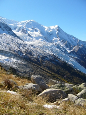 Mont Blanc und Gräser