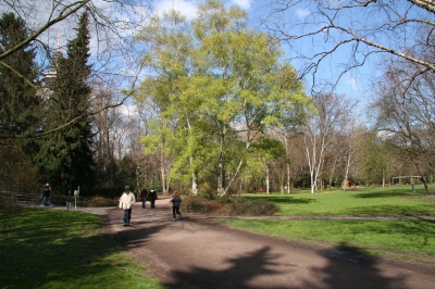 Frühling im Park