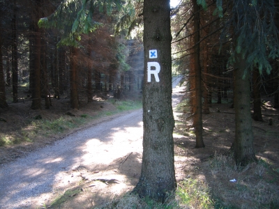 Rennsteigwanderweg im Thüringer Wald