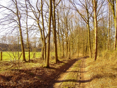 Er wird schon noch kommen - der Frühling