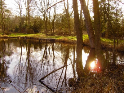 Kleiner Teich im März