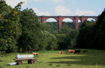 Vogtland-An der Elstertalbrücke