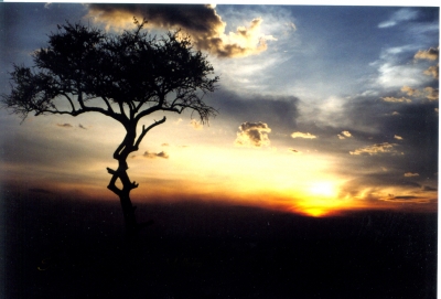 Sonnenuntergang Massai Mara