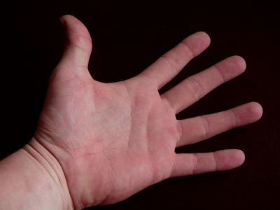 männliche Handinnenfläche, gerade Finger