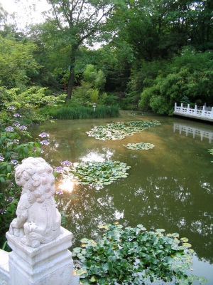 Teich im chinesischen Garten