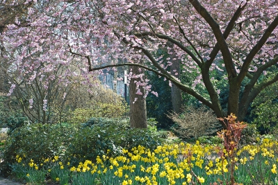 so sieht der Frühling aus