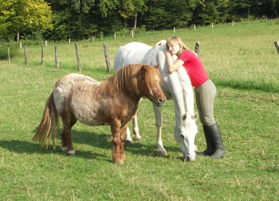 Das tolle Trio (2) ...