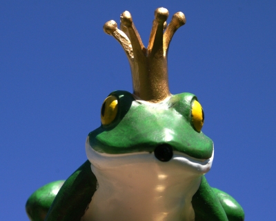 Froschkönig 1