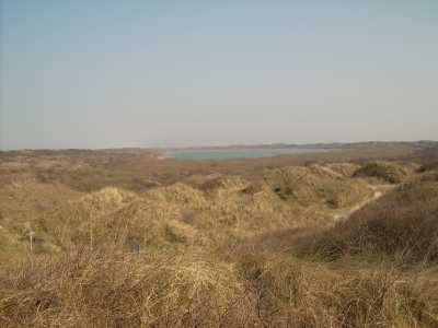 Blick über die Dünen zum Hammersee
