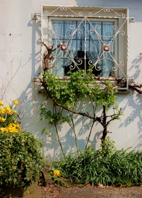 Fenster des Bergischen Landes #5