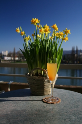 Blumen mit Sektglas