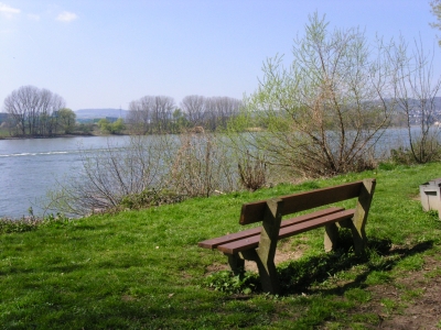 Ruhe am Rhein