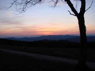 Sonnenuntergang im Schwarzwald I