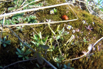 Frühling!