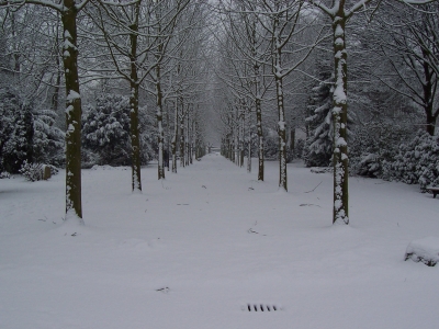 Winterlicher Friedhof