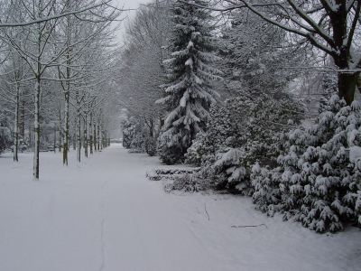 verschneiter Friedhof