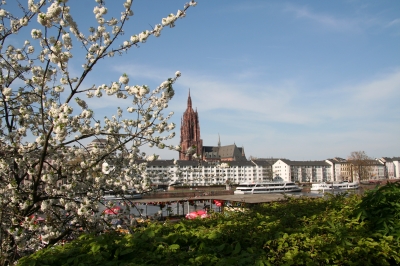 Frankfurter Dom im Frühling