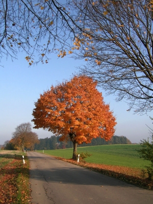Herbststimmung in Bayern