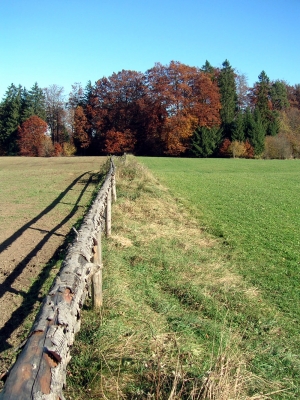 Herbststimmung in Oberbayern