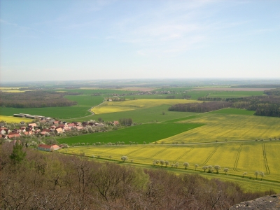 Blick auf den Ort Collm