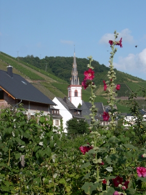 Städtchen an der Mosel