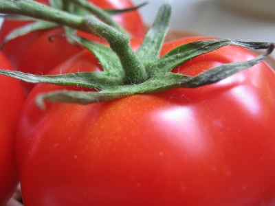 Tomate Closeup